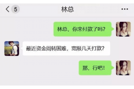 催收被动怎么办？应对债务催收的实用策略